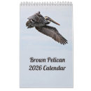 Search for pelican calendars Brown pelicans