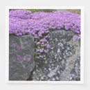 Search for phlox Flowers