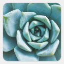 Search for closeup stickers Nature