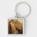 Search for ear key rings Wildlife