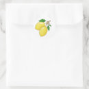 Search for big lemon stickers Limoncello