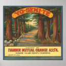 Search for vintage fruit crate labels posters Advertising