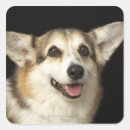 Search for black and white portrait stickers Photography