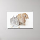 Search for lop art Friendship