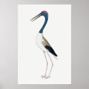 Search for black necked art Vintage