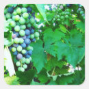 Search for merlot stickers Grapes