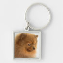 Search for loneliness key rings Studio shot
