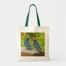 Search for swallows bags Barn swallow