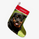 Search for rottweiler christmas stockings Animal