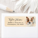 Search for welsh return address labels Cardigan welsh corgi