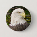 Search for bald headed eagle accessories Wildlife