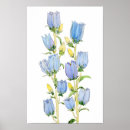 Search for canterbury posters Floral