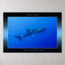 Search for whale shark posters Underwater