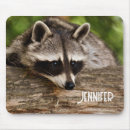 Search for racoons mouse mats Wildlife