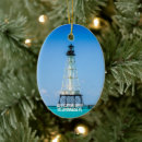 Search for alligator christmas tree decorations Florida