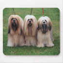 Search for lhasa apso gifts Cute