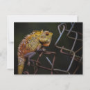 Search for metal postcards Fence
