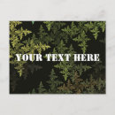 Search for deciduous postcards Conifer