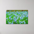 Search for bluebell canvas prints Forest