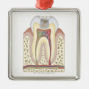 Search for office christmas tree decorations Small business