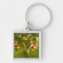 Search for animal body part key rings Wildlife