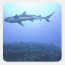 Search for angling stickers Outdoors