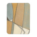Search for muted magnets Modern