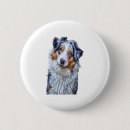 Search for australian shepherd badges Pug