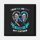 Search for disorder magnets Bpd