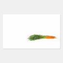 Search for carrot stickers Fresh