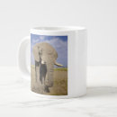 Search for alison mugs Nature