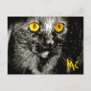 Search for spooky eyes postcards Cat