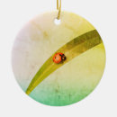Search for ladybird christmas tree decorations Beetle