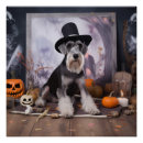 Search for miniature schnauzer posters Dog
