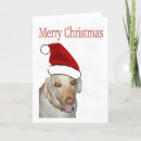 Search for yellow labrador retriever christmas cards Pets