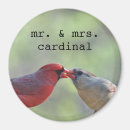 Search for beak round magnets Nature