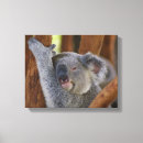 Search for koala canvas prints Cute