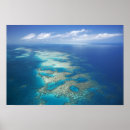 Search for ecosystem posters Ocean
