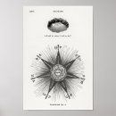 Search for biologie posters Vintage