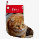 Search for template christmas stockings Pet