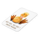 Search for duck magnets Funny