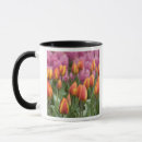 Search for lisse mugs Destination