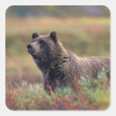 Search for np stickers Autumn