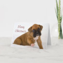 Search for boxer christmas cards Xmas