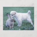 Search for lop postcards Friendship