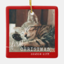 Search for pet memorial christmas tree decorations Dog