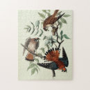 Search for sparrow puzzles Ornithology