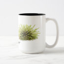 Search for sea urchin mugs Ocean