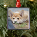 Search for pembroke welsh corgi christmas tree decorations Queen elizabeth's