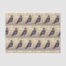 Search for halloween tissue paper Crow